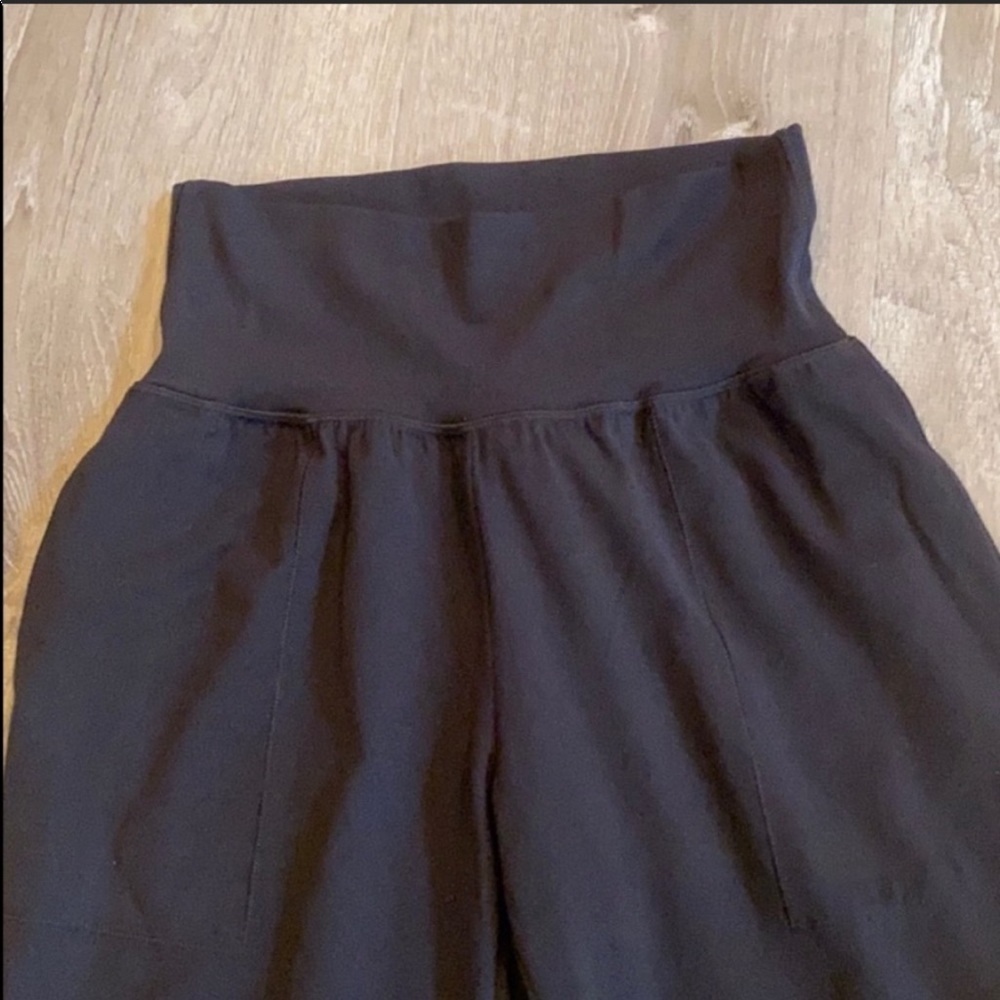 NWOT Athleta Salutation Cruise Jogger in Powervita - Picture 3 of 12